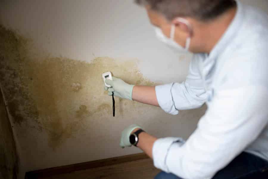 Basement mold mitigation & removal services in Indianapolis.